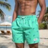 7caffcb8-9a90-4b85-a4b0-b5e19c397634.jpg Men's Quick-Dry Swim Trunks with Dolphin Print - Drawstring Waist