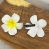 84d11226-377d-44d7-b24c-d1a61e49069c.jpg 1pc Fashion Cute Women'S Cute Yellow Plumeria Hairpins